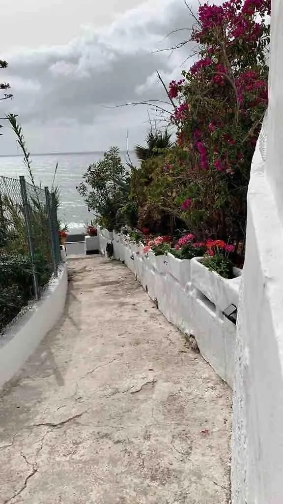 Quiet House With Spectacular Ocean Views Vila Punta Del Hidalgo Espanha