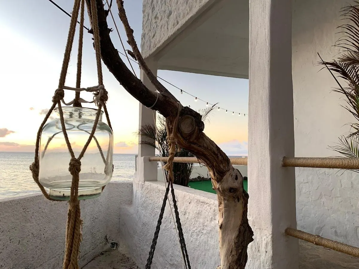 Holiday home Quiet House With Spectacular Ocean Views Villa Punta Del Hidalgo Spain